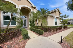 3997 Mimosa Pl, Palm Harbor, FL 34685 - Photo 6