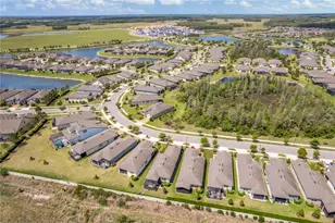 19367 Coastal Shr Ter, Land O Lakes, FL 34638 - Photo 18