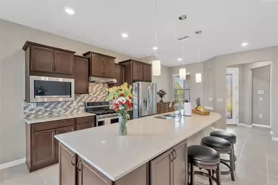 19367 Coastal Shore Terrace, Land O Lakes, FL 34638 - Photo 8
