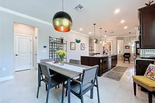 19537 Ship Wheel Wy, Land O Lakes, FL 34638 - Photo 18