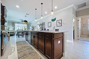 19537 Ship Wheel Wy, Land O Lakes, FL 34638 - Photo 10