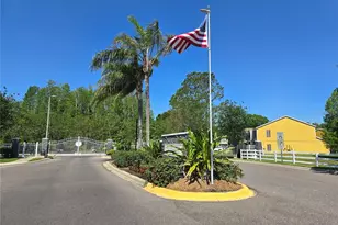 30058 Granda Hills Ct, Wesley Chapel, FL 33543 - Photo 40