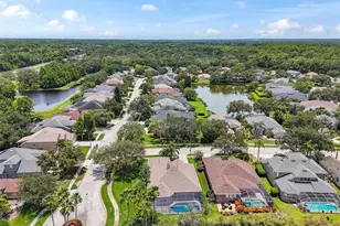 3025 Naughton Way, Tarpon Springs, FL 34688 - Photo 76