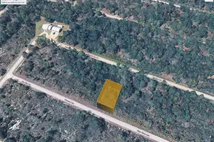 3413 Pheasant Ave, Lake Placid, FL 33852 - Photo 2