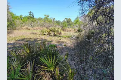 1873 W Foxglove Road, Avon Park, FL 33825 - Photo 14