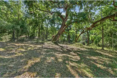 Carlton Road, Plant City, FL 33565 - Photo 44