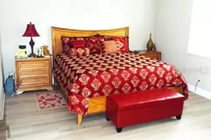 15628 Aurora Lake Cir, Wimauma, FL 33598 - Photo 18