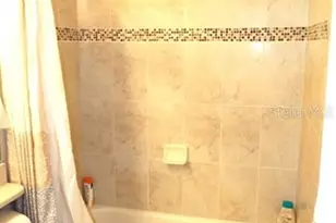 15628 Aurora Lake Cir, Wimauma, FL 33598 - Photo 10