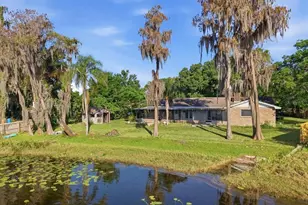 700 Druid Way, Lutz, FL 33548 - Photo 30
