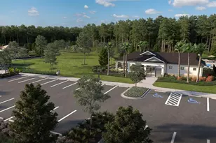 33519 Hammock Beach Way, Dade City, FL 33525 - Photo 36