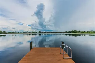 7655 Citrus Blossom Dr, Land O Lakes, FL 34637 - Photo 94