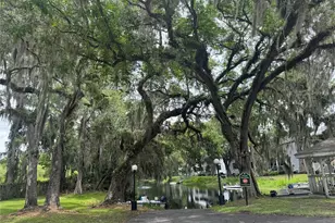 1340 Cypress Cove Ct, Inverness, FL 34450 - Photo 22