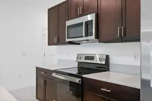 13755 Big Hawk Wy, Lithia, FL 33547 - Photo 10