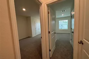 11147 Crescent Deer Dr, Land O Lakes, FL 34638 - Photo 34