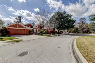 11414 Crisfield Pl, New Port Richey, FL 34654 - Photo 34