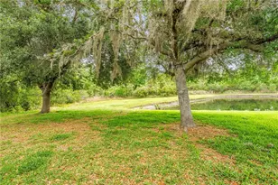 9630 Nathaniel Ln, Land O Lakes, FL 34638 - Photo 48