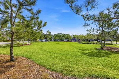 5925 Silver Sun Drive, Apollo Beach, FL 33572 - Photo 32