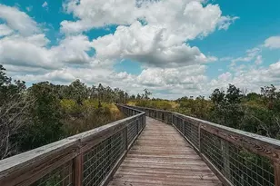 22034 Storybook Cabin Wy, Land O Lakes, FL 34637 - Photo 40