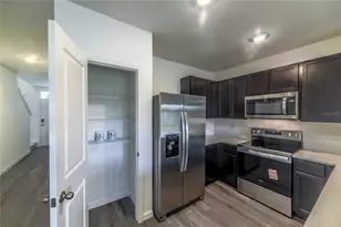 17208 English Chestnut Wy, Land O Lakes, FL 34638 - Photo 8
