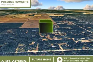 NE 88th St, Bronson, FL 32621 - Photo 1