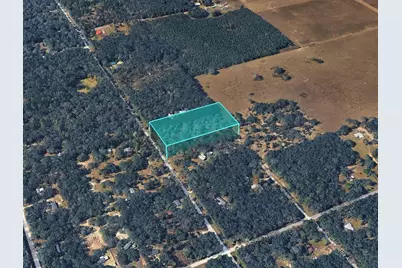 Ne 88th Street, Bronson, FL 32621 - Photo 26