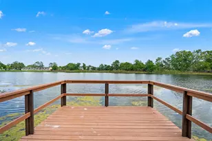 4252 Alpine Rd, Land O Lakes, FL 34639 - Photo 48