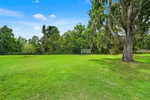 4252 Alpine Rd, Land O Lakes, FL 34639 - Photo 42