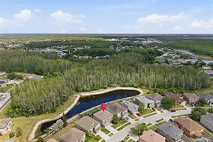 17815 Ayrshire Blvd, Land O Lakes, FL 34638 - Photo 48