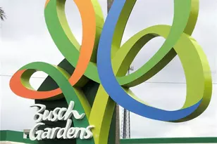 5229 Tennis Ct Cir, Tampa, FL 33617 - Photo 26