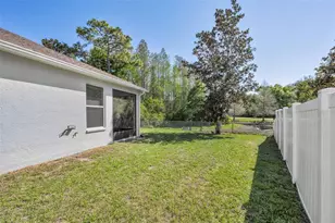 15727 Cedar Elm Terrace, Land O Lakes, FL 34638 - Photo 32