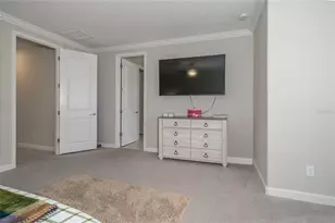 8099 Lago Mist Wy, Wesley Chapel, FL 33545 - Photo 22