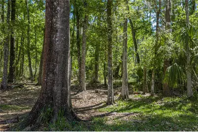 8600 Shenandoah Run, Wesley Chapel, FL 33544 - Photo 50