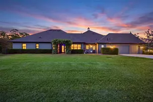 19118 Magnolia Farms Ln, Odessa, FL 33556 - Photo 2