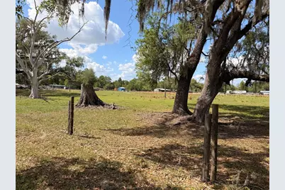 20512 Ramer Road, Dade City, FL 33523 - Photo 6