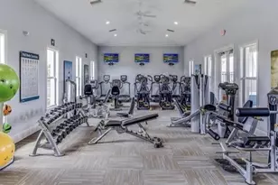 3379 Suncoast Plains Dr, Odessa, FL 33556 - Photo 6