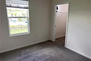 3379 Suncoast Plains Dr, Odessa, FL 33556 - Photo 42