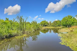 2445 Glenview Dr, Land O Lakes, FL 34639 - Photo 66