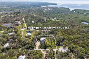 375 Wellington Ave, Oldsmar, FL 34677 - Photo 70