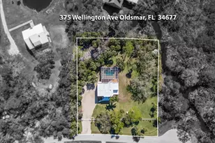 375 Wellington Ave, Oldsmar, FL 34677 - Photo 46