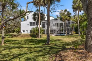 375 Wellington Ave, Oldsmar, FL 34677 - Photo 64