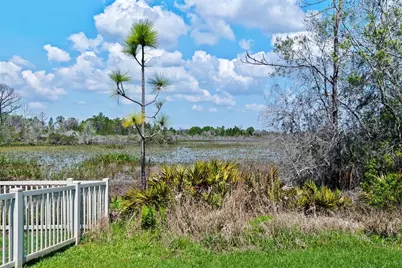 8934 Little Bluestem Drive, Land O Lakes, FL 34637 - Photo 58