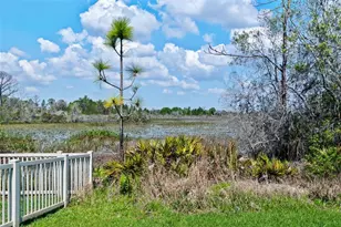 8934 Little Bluestem Dr, Land O Lakes, FL 34637 - Photo 58