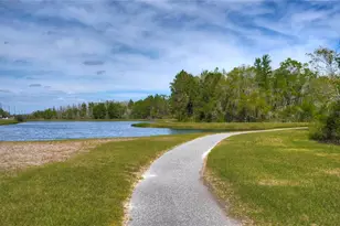 8934 Little Bluestem Dr, Land O Lakes, FL 34637 - Photo 54