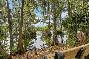 1008 W River Dr, Temple Terrace, FL 33617 - Photo 56