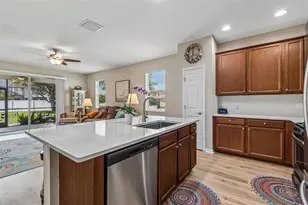 19110 Sunset Bay Dr, Land O Lakes, FL 34638 - Photo 4