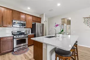 19110 Sunset Bay Dr, Land O Lakes, FL 34638 - Photo 8