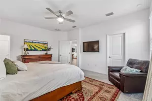 20121 Azul Marble Loop, Land O Lakes, FL 34638 - Photo 42