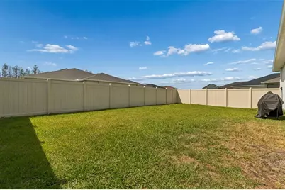 20121 Azul Marble Loop, Land O Lakes, FL 34638 - Photo 50