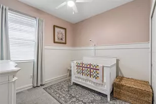 20121 Azul Marble Loop, Land O Lakes, FL 34638 - Photo 16