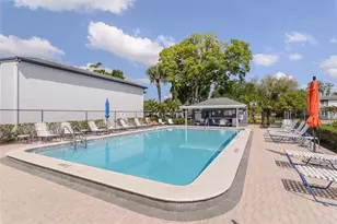 207 Cypress Ln, Oldsmar, FL 34677 - Photo 24